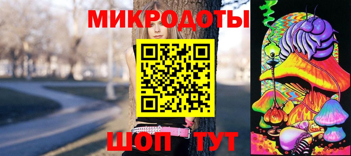 Галлюциногенные грибы Psilocybe Санкт-Петербург
